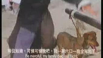 有什么搞笑节目吗,盘点那些让人捧腹大笑的搞笑节目